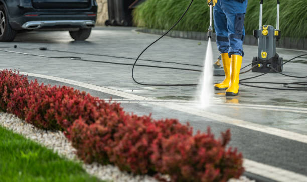 Best Sidewalk and Walkway Cleaning  in Plano, IL